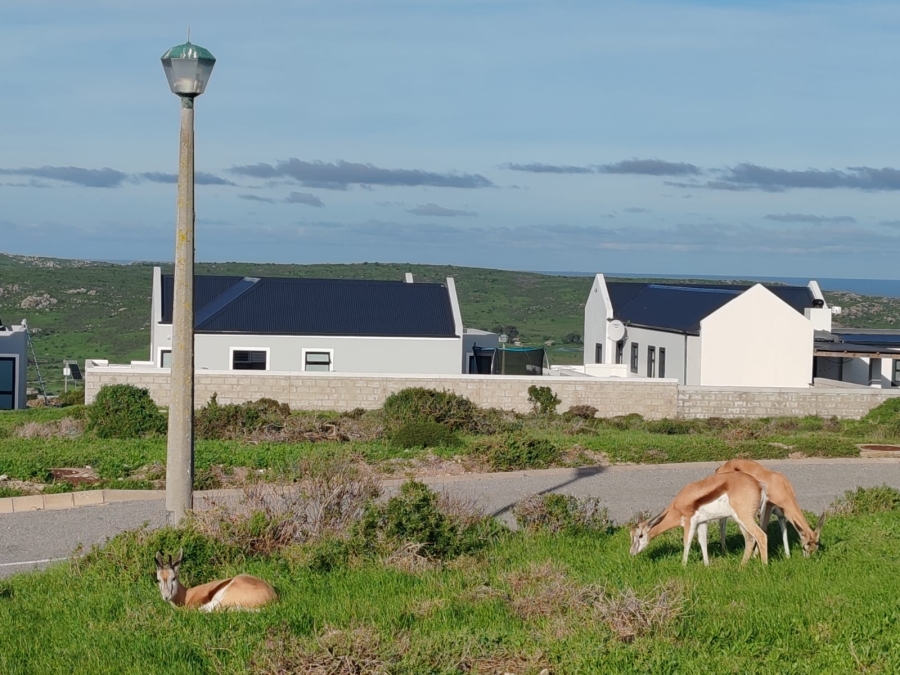 0 Bedroom Property for Sale in Hoogland Western Cape